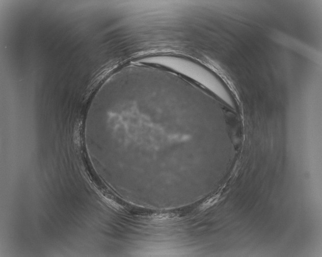 X0000056370105200509161905