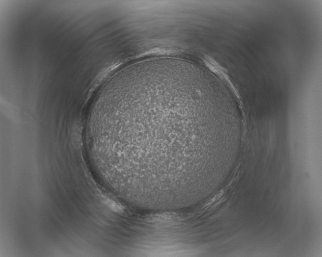 X0000056370106200509161905