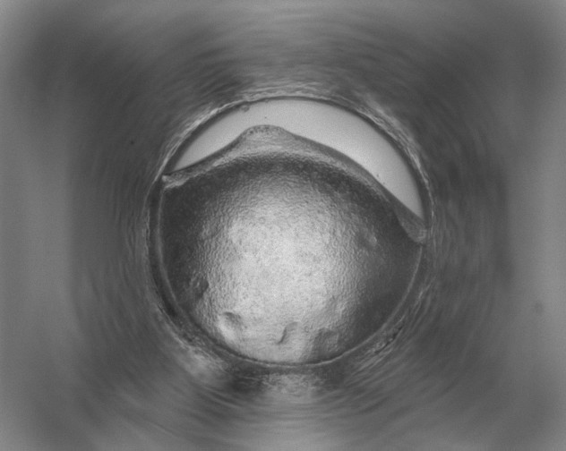 X0000056370107200509161905