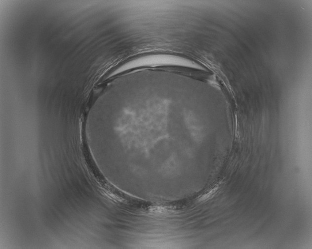 X0000056370109200509161905