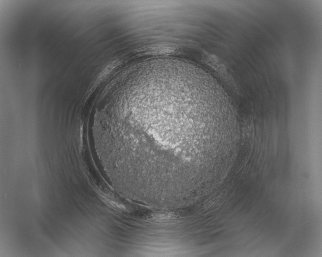 X0000056370110200509161905