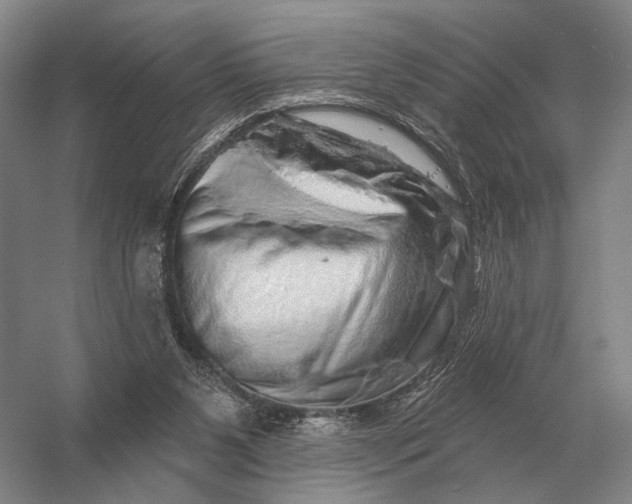 X0000056370111200509161905