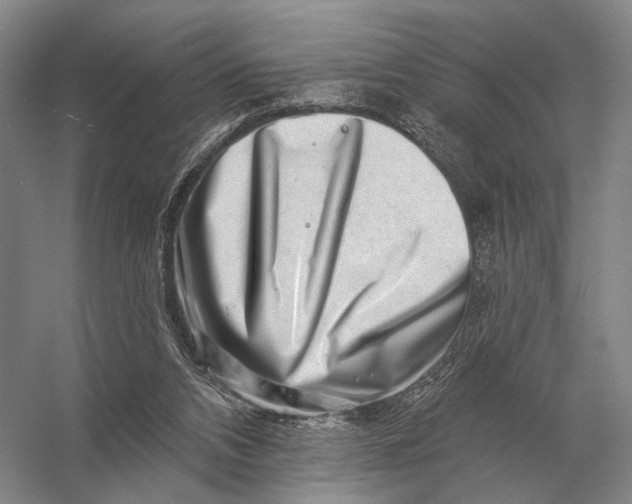 X0000056370112200509161905