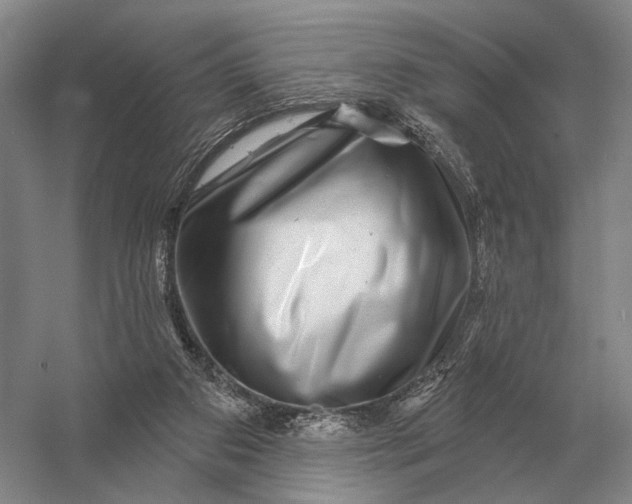 X0000056370113200509161905