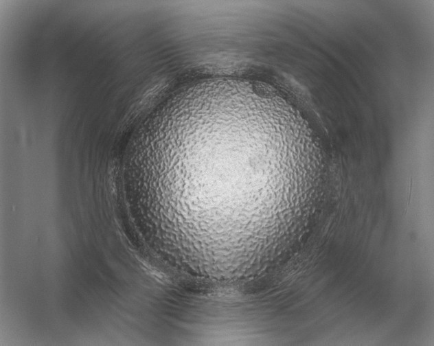 X0000056370114200509161904