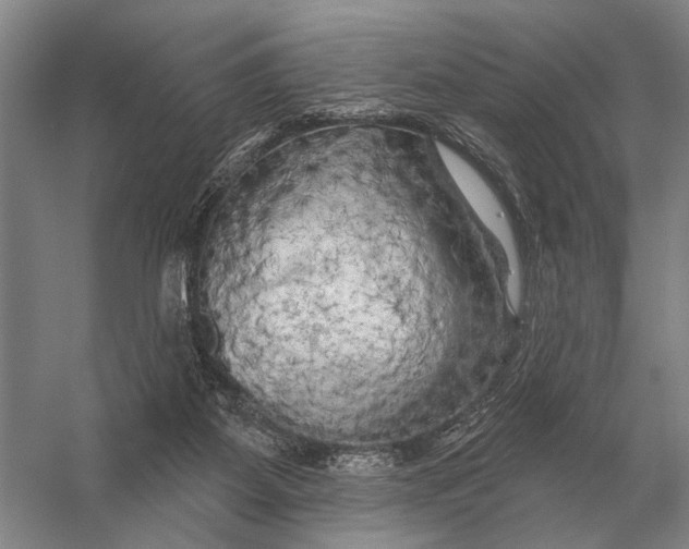 X0000056370115200509161904