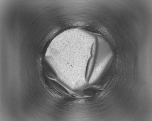 X0000056370116200509161904