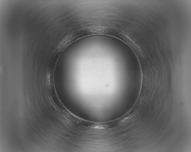 X0000056370117200509161904