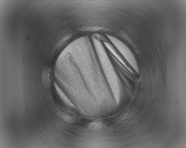 X0000056370119200509161904