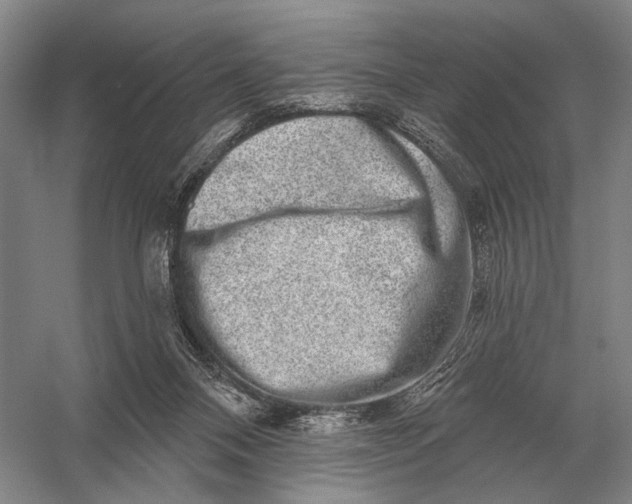 X0000056370120200509161904