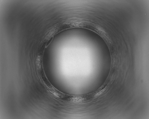 X0000056370121200509161904