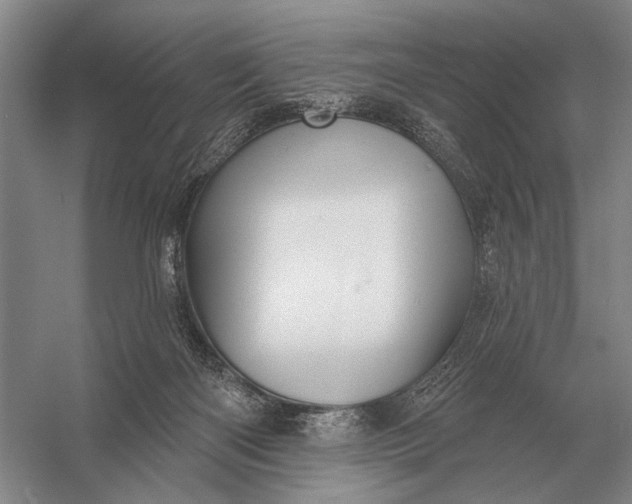 X0000056370122200509161904