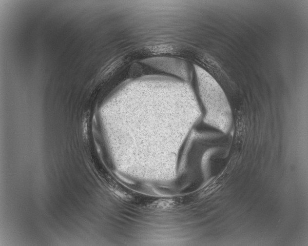 X0000056370124200509161904