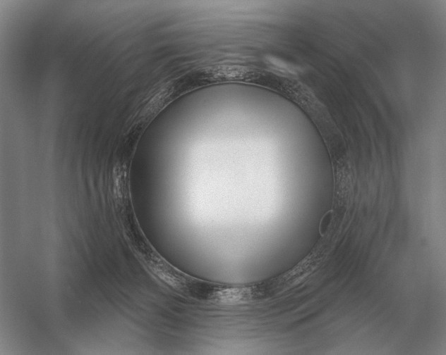 X0000056370126200509161904