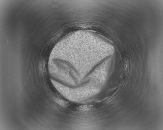 X0000056370128200509161904