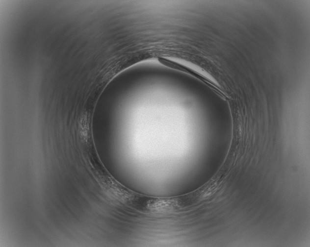 X0000056370129200509161904