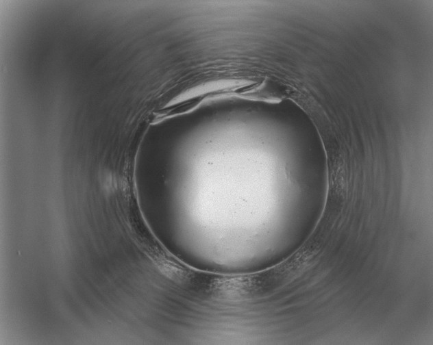 X0000056370131200509161904