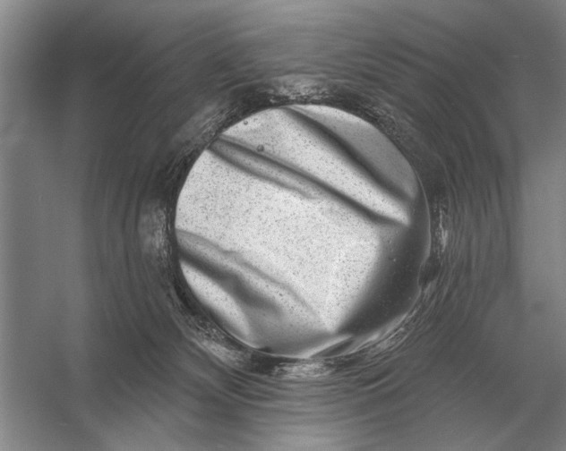 X0000056370132200509161904