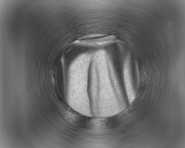 X0000056370136200509161904