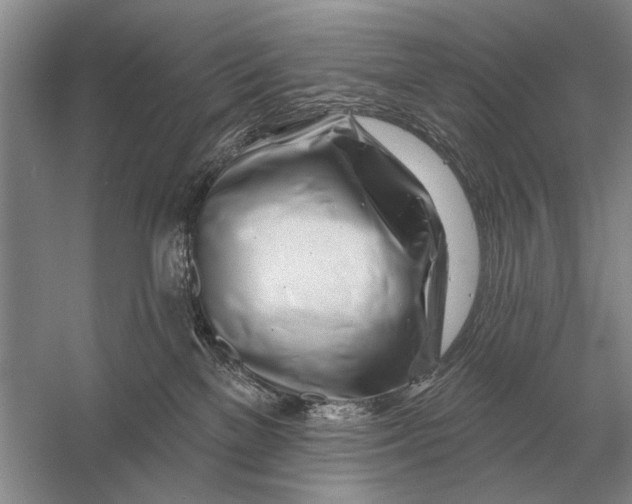 X0000056370137200509161904