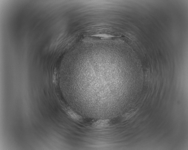 X0000056370138200509161904