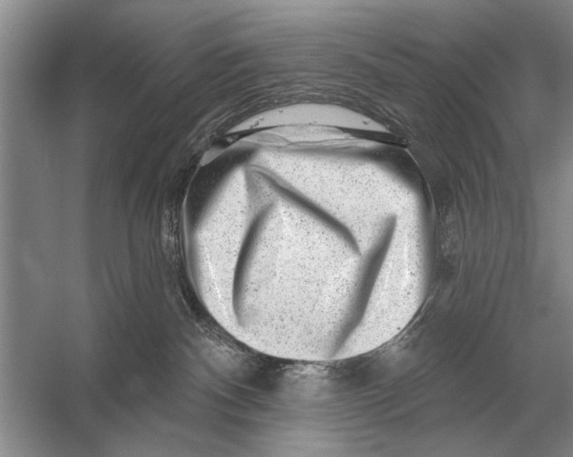 X0000056370140200509161904