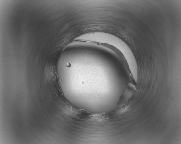 X0000056370141200509161904