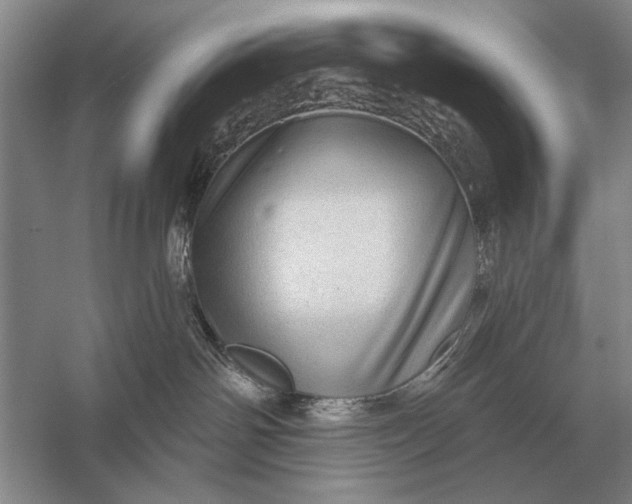 X0000056370142200509161904