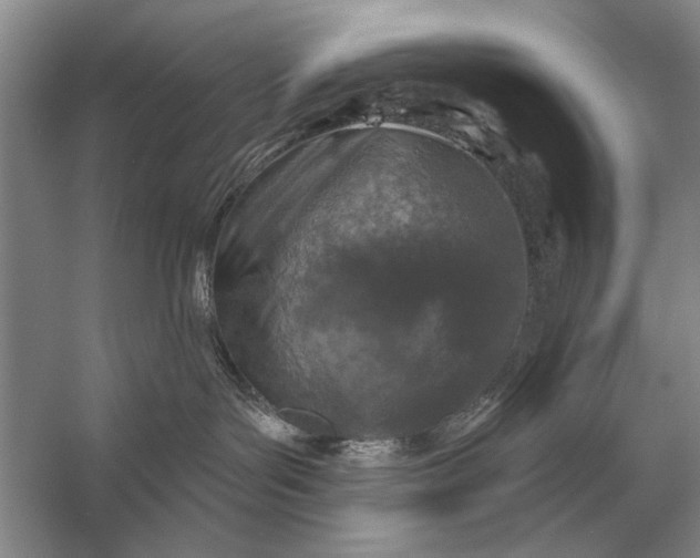 X0000056370143200509161904