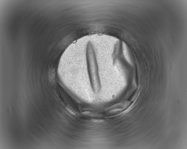 X0000056370144200509161904