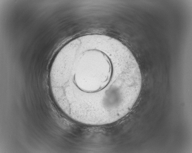 X0000056370146200509161903