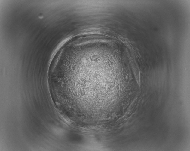 X0000056370147200509161903