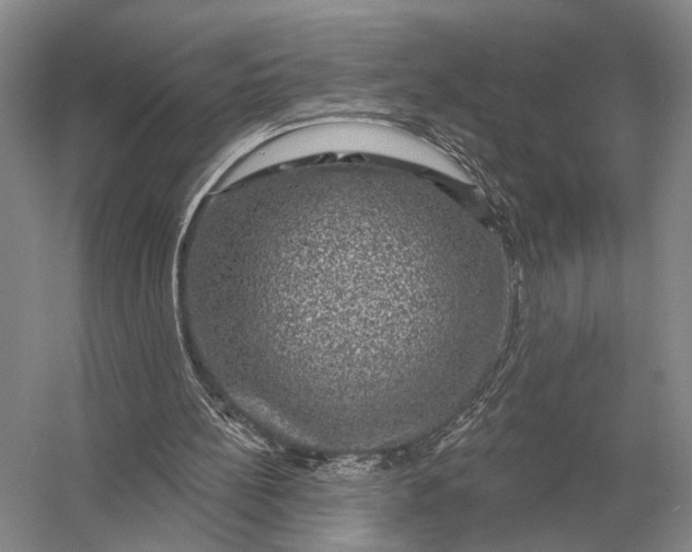 X0000056370148200509161903