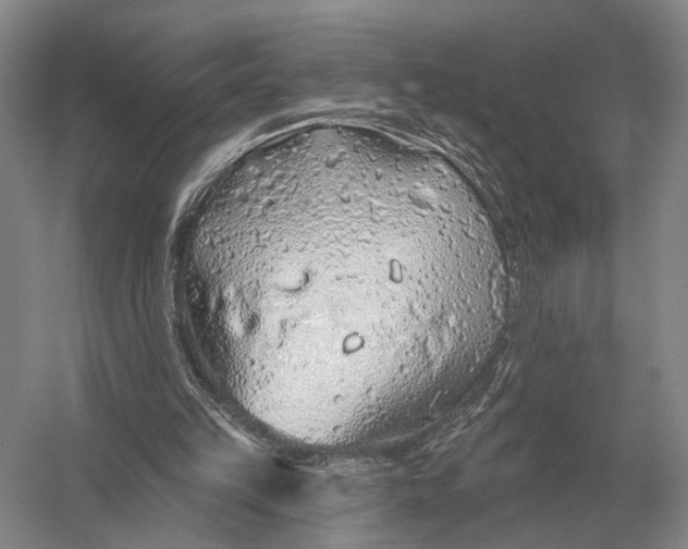 X0000056370149200509161903