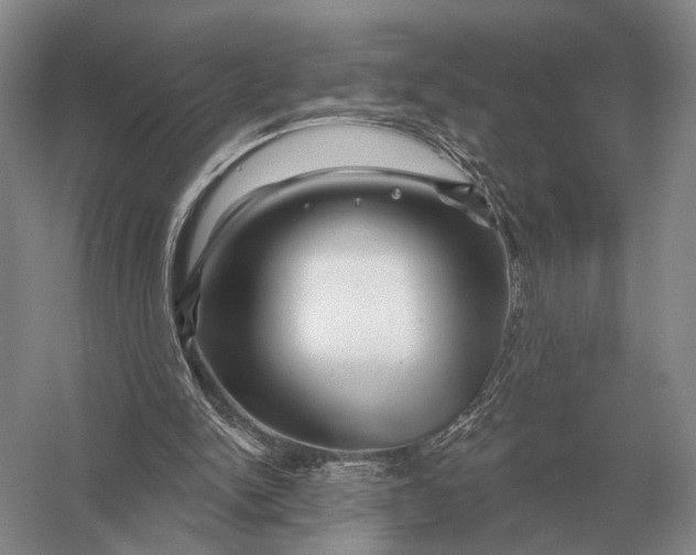 X0000056370150200509161903