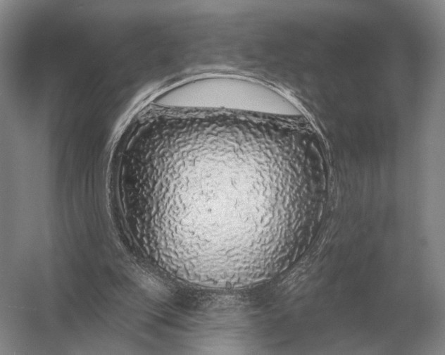 X0000056370151200509161903