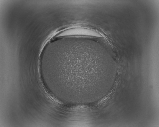 X0000056370152200509161903