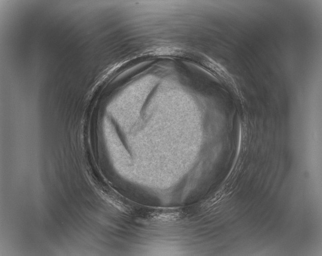 X0000056370155200509161903