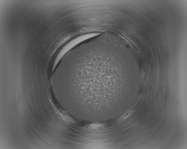 X0000056370158200509161903