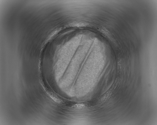 X0000056370159200509161903