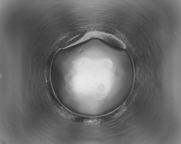 X0000056370161200509161903