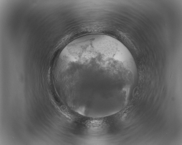 X0000056370163200509161903