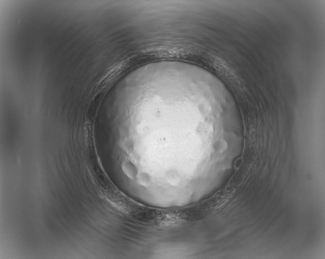 X0000056370165200509161903