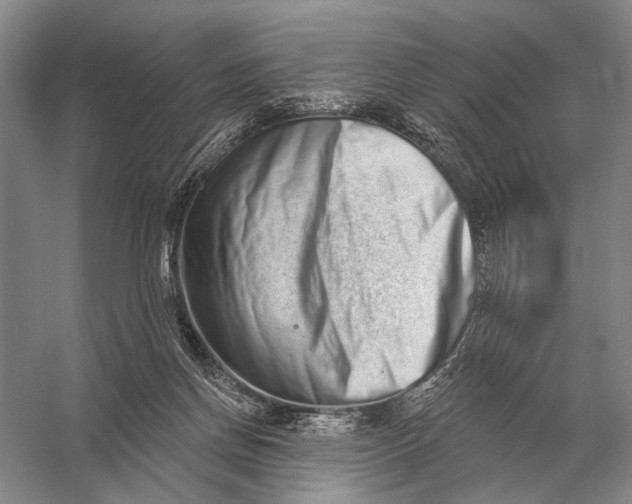 X0000056370166200509161904