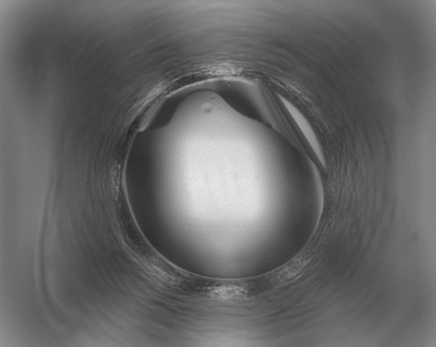 X0000056370168200509161904