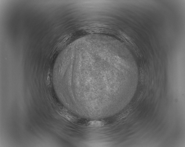 X0000056370169200509161904