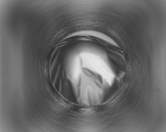 X0000056370170200509161904