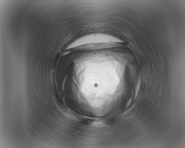 X0000056370171200509161904