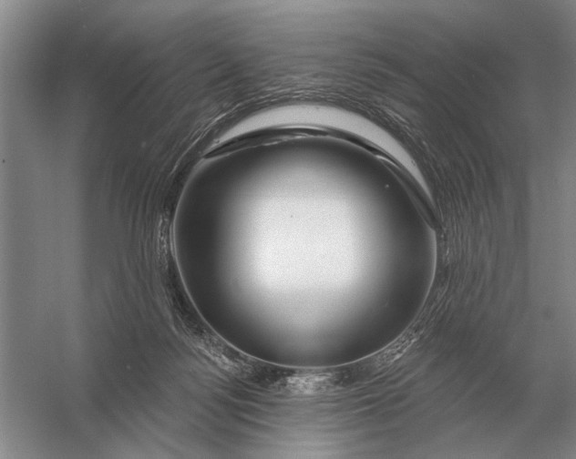 X0000056370172200509161904