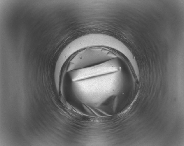 X0000056370174200509161904